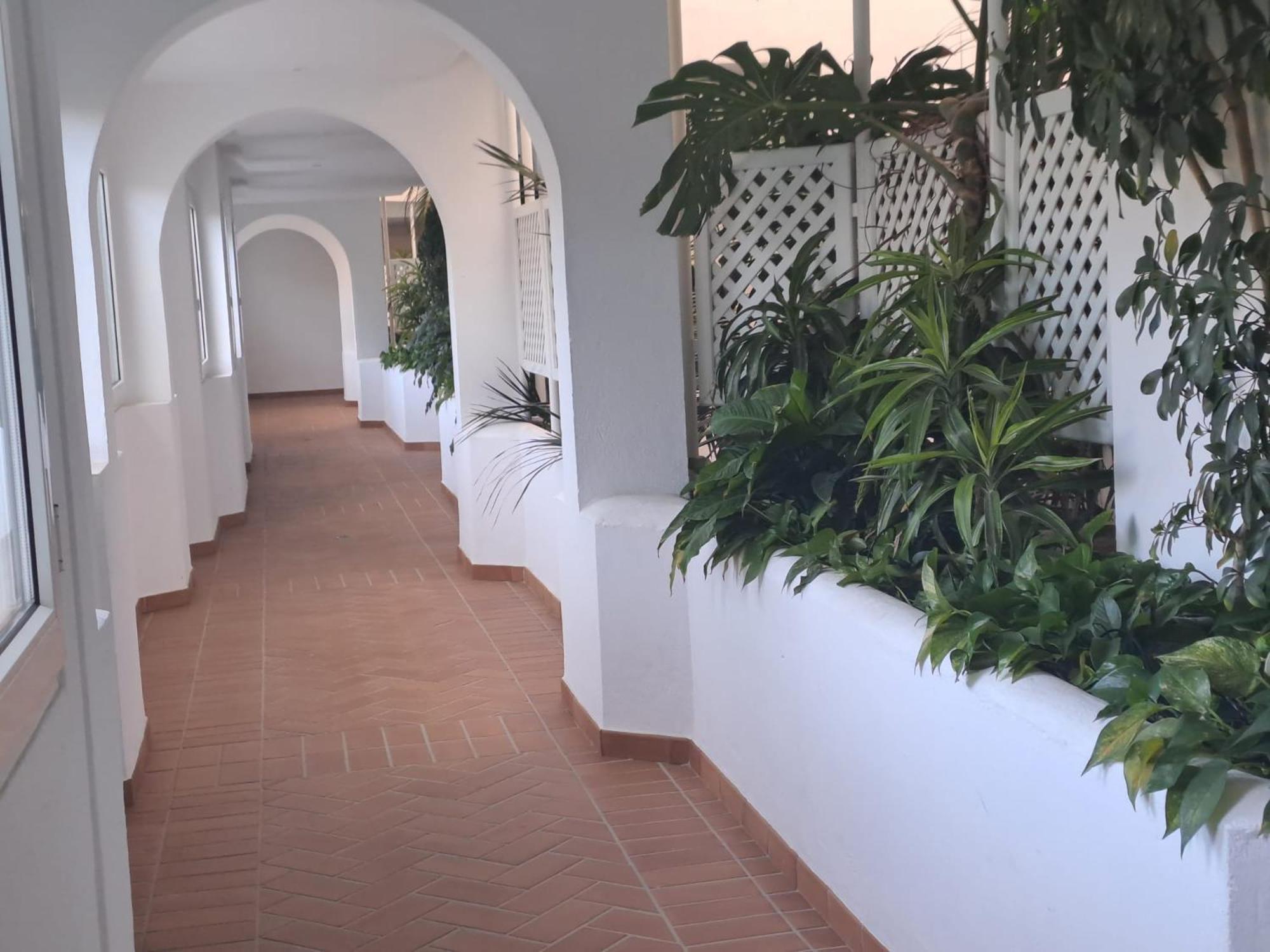 Luminous In Playas Del Duque , Puerto Banus By Holidays & Apartment *